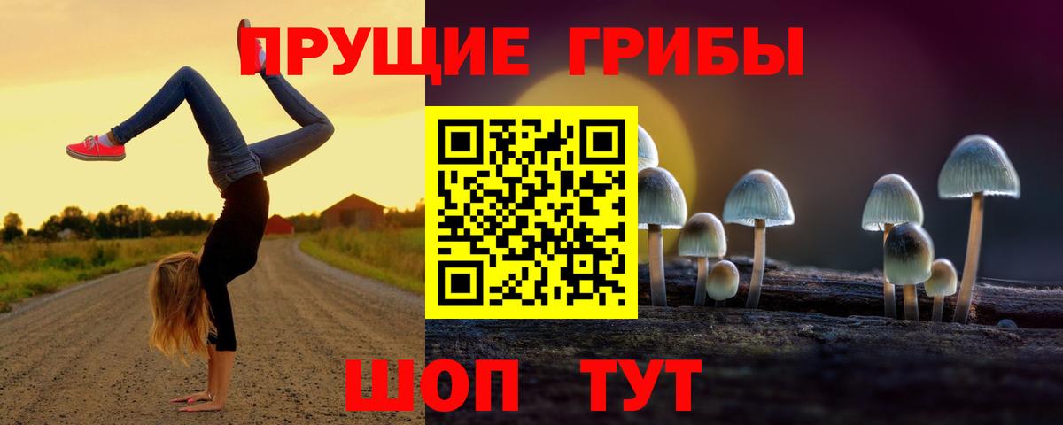 Галлюциногенные грибы ЛСД  Галлюциногенные грибы прущие грибы  Северск  Вход с VPN 