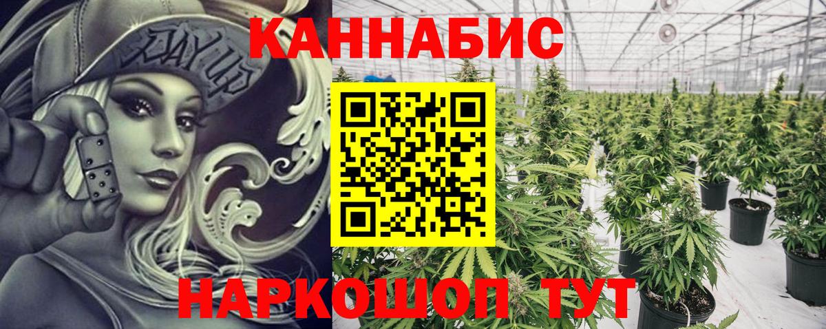 МАРИХУАНА планчик Северск